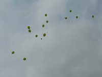 IMG_4802
