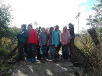 IMG-20211017-WA0029
