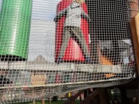 IMG-20211018-WA0001