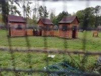 IMG-20211018-WA0005