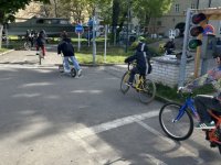 IMG_0981