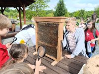 IMG_20240531_093925