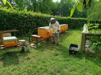 IMG_20240531_095846