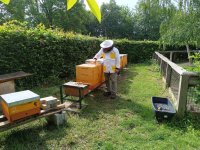 IMG_20240531_095935