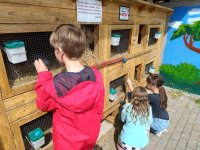 IMG_20240531_101725