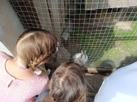 IMG_20240531_101744