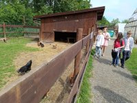 IMG_20240531_101850