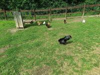 IMG_20240531_101859