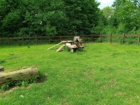 IMG_20240531_101937