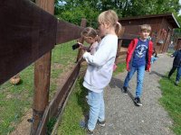 IMG_20240531_101942