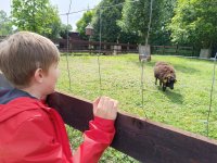 IMG_20240531_102000