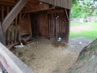 IMG_20240531_102223