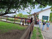 IMG_20240531_102233