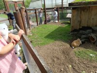 IMG_20240531_102738