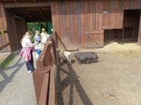 IMG_20240531_103157