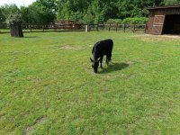 IMG_20240531_103223