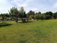 IMG_20240531_103357