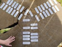 IMG_20240531_103617