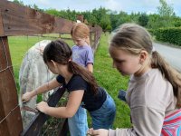 IMG_20240531_104753