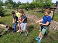 IMG_20240531_094209