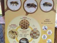 IMG_20240531_103210