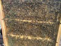 IMG_20240531_103644
