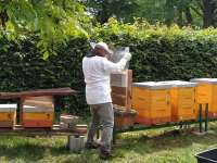 IMG_20240531_105108