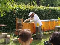 IMG_20240531_105240