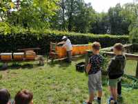 IMG_20240531_105333