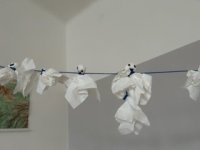 IMG_0729