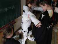 img-20221105-wa0005_optimized