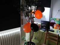 img-20221105-wa0027_optimized