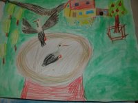 DSC09191