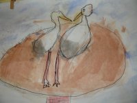 DSC09194