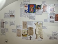 IMG_0819