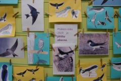 Jiřička - pták roku 2020