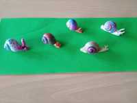 IMG-20210520-WA0001-1
