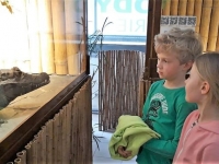 IMG-20190314-WA0001