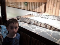 IMG-20190314-WA0004