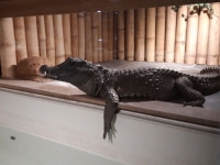 IMG-20190314-WA0006