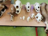 IMG_20211124_133516