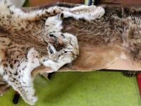IMG_20211124_133524