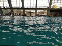 IMG_20230310_092222-scaled
