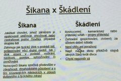 Policie - šikana