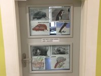 IMG_1225