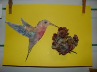 DSC09661