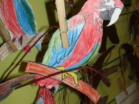 DSC09674