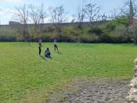 img20240313143704_optimized