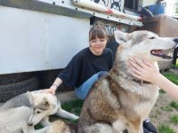 IMG-20240618-WA0012