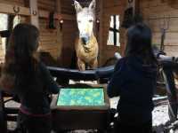 IMG-20230914-WA0007
